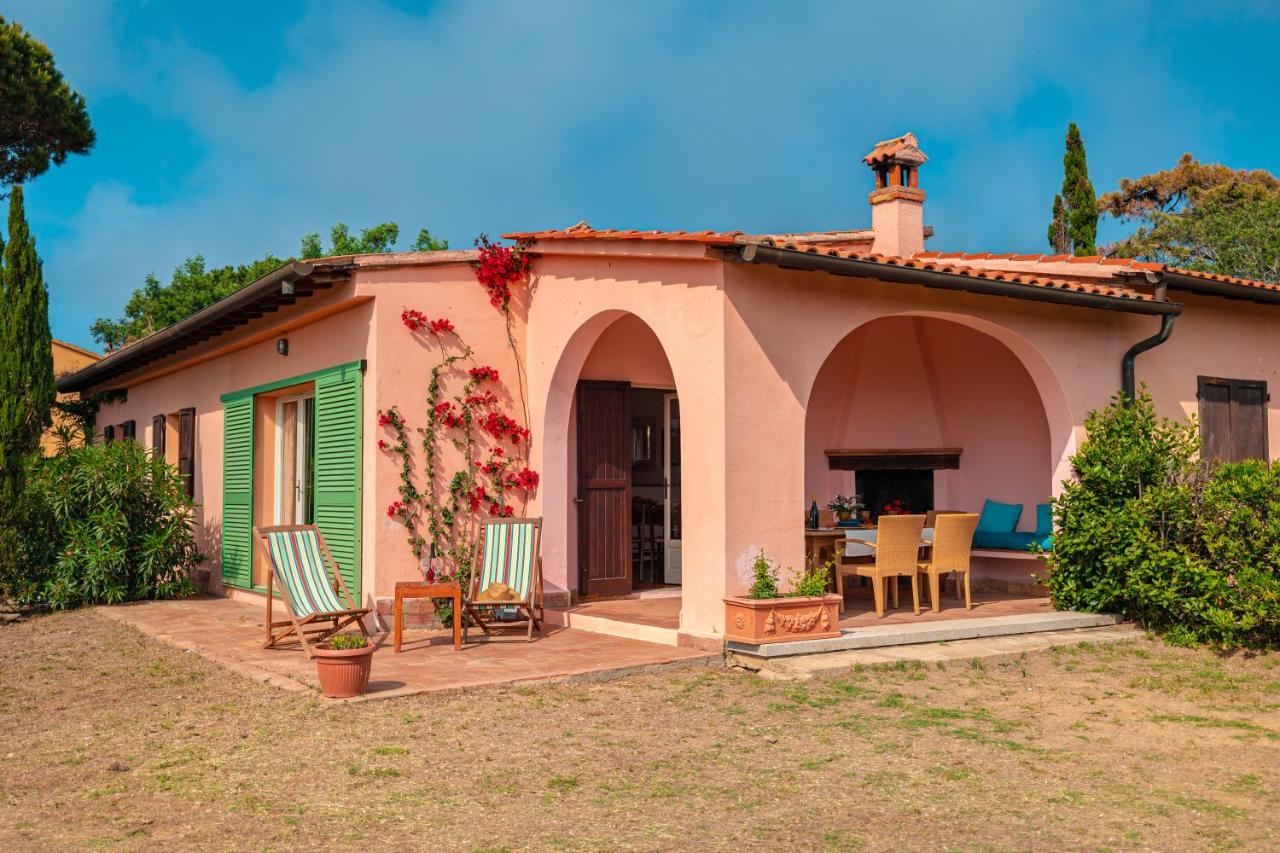 Standard Villa